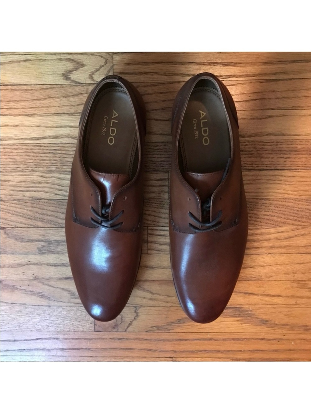 Brand New ALDO Brown Leather Derby Shoes Sz 10.5